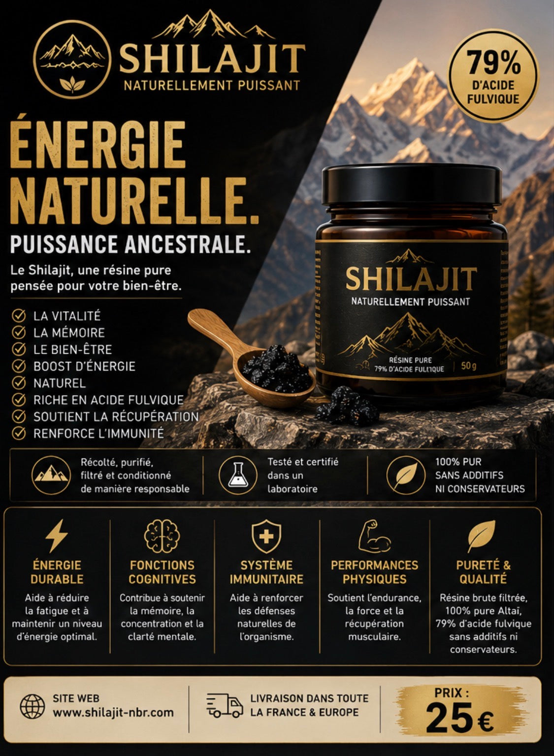 Résine de Shilajit 100% Pur des Montagnes de l’Himalaya Bien-Être Complément Alimentaire Ingérable