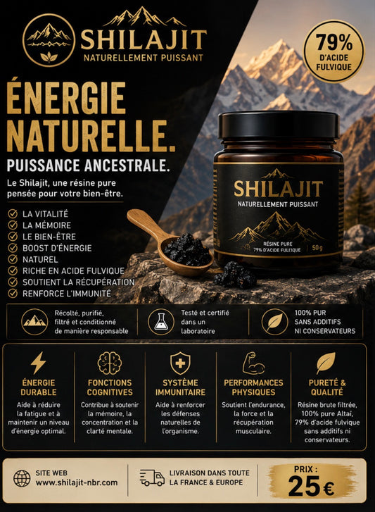 Résine de Shilajit 100% Pur des Montagnes de l’Himalaya Bien-Être Complément Alimentaire Ingérable